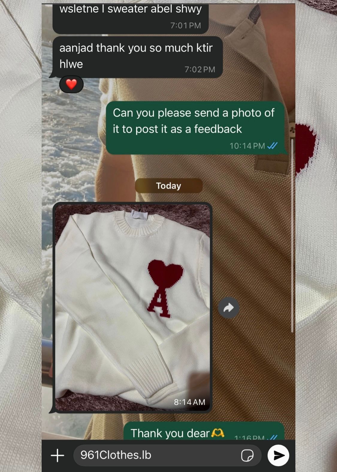 Slide Image