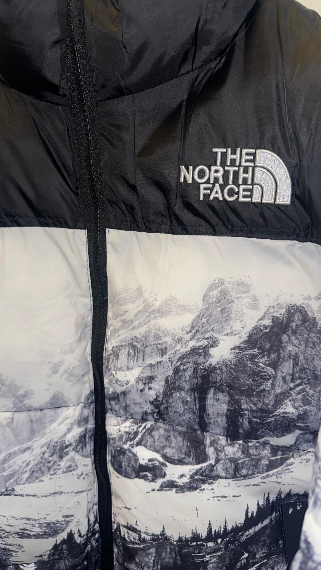 Northface Snow Mountain