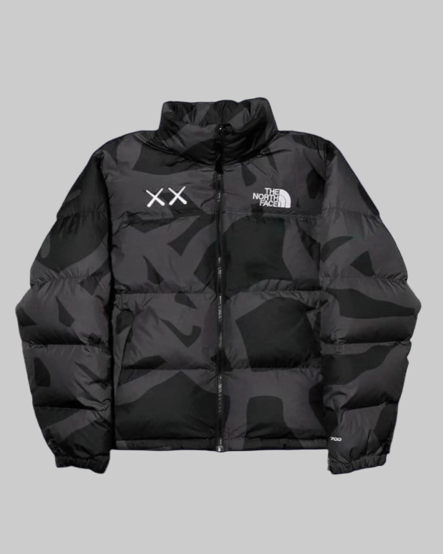 Northface X Kaws
