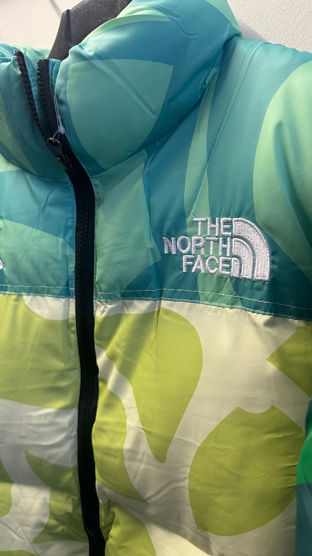 Northface X Kaws