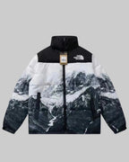 Northface Snow Mountain
